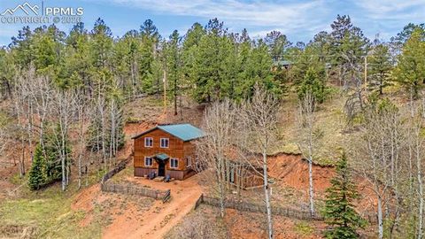 Tiny photo for 325 Willow Road, Divide, CO 80814 (MLS # 4192722)