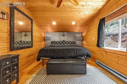 Tiny photo for 325 Willow Road, Divide, CO 80814 (MLS # 4192722)