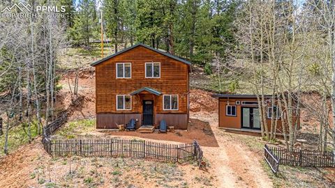Tiny photo for 325 Willow Road, Divide, CO 80814 (MLS # 4192722)