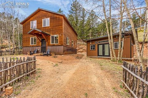Photo of 325 Willow Road, Divide, CO 80814 (MLS # 4192722)