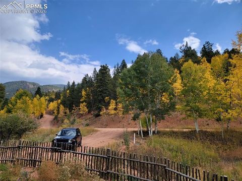 Tiny photo for 325 Willow Road, Divide, CO 80814 (MLS # 4192722)