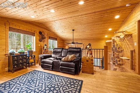 Tiny photo for 325 Willow Road, Divide, CO 80814 (MLS # 4192722)