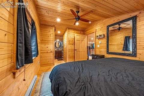 Tiny photo for 325 Willow Road, Divide, CO 80814 (MLS # 4192722)