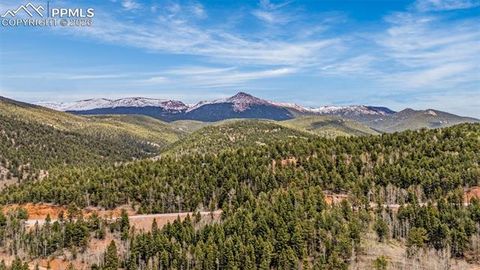 Tiny photo for 325 Willow Road, Divide, CO 80814 (MLS # 4192722)