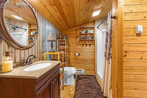 Tiny photo for 325 Willow Road, Divide, CO 80814 (MLS # 4192722)