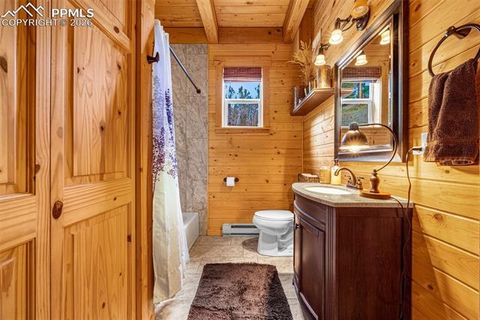 Tiny photo for 325 Willow Road, Divide, CO 80814 (MLS # 4192722)