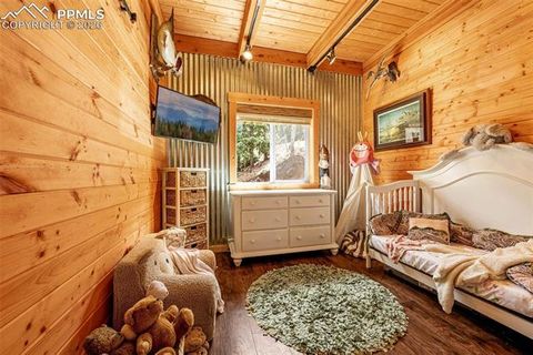 Tiny photo for 325 Willow Road, Divide, CO 80814 (MLS # 4192722)