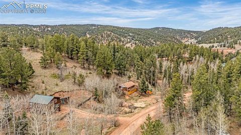 Tiny photo for 325 Willow Road, Divide, CO 80814 (MLS # 4192722)