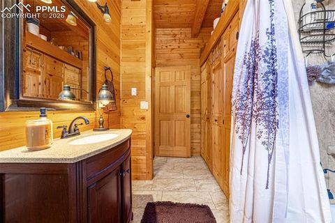 Tiny photo for 325 Willow Road, Divide, CO 80814 (MLS # 4192722)