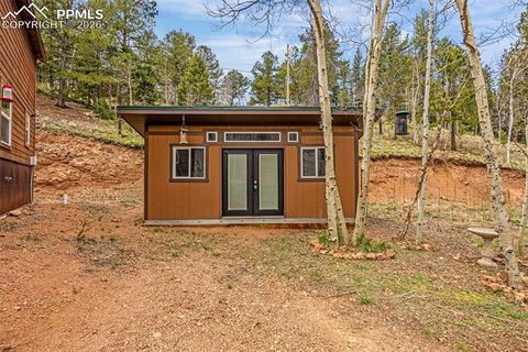 Tiny photo for 325 Willow Road, Divide, CO 80814 (MLS # 4192722)