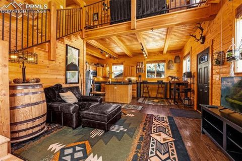 Tiny photo for 325 Willow Road, Divide, CO 80814 (MLS # 4192722)