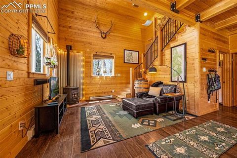 Tiny photo for 325 Willow Road, Divide, CO 80814 (MLS # 4192722)