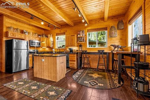 Tiny photo for 325 Willow Road, Divide, CO 80814 (MLS # 4192722)