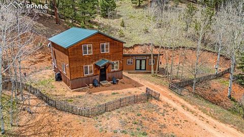 Tiny photo for 325 Willow Road, Divide, CO 80814 (MLS # 4192722)
