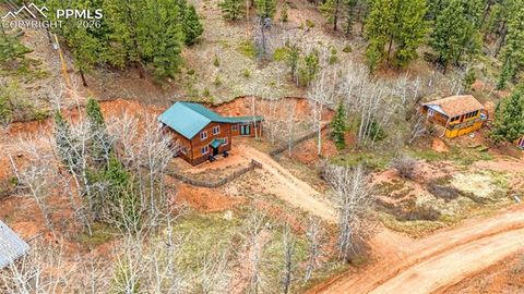 Tiny photo for 325 Willow Road, Divide, CO 80814 (MLS # 4192722)