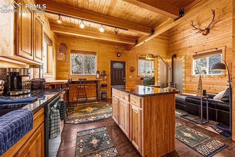 Tiny photo for 325 Willow Road, Divide, CO 80814 (MLS # 4192722)