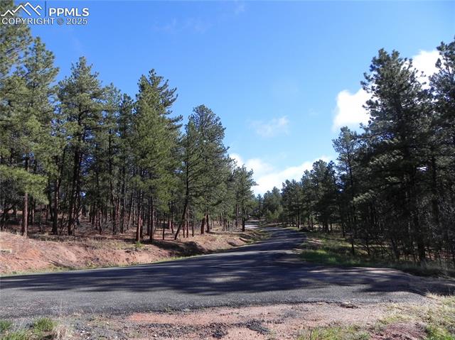 4467 Delaware Drive, Larkspur, CO, 80118 4467 Delaware Drive