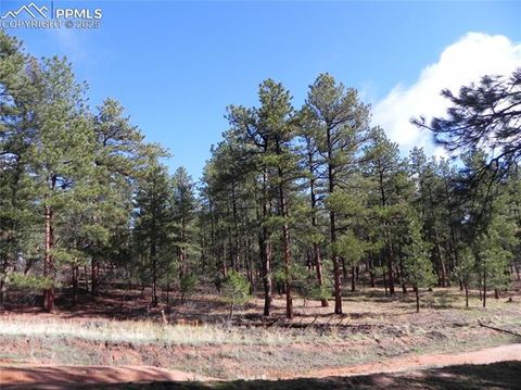 4467 Delaware Drive Larkspur Co 80118