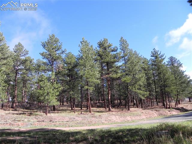 4467 Delaware Drive, Larkspur, CO, 80118 4467 Delaware Drive