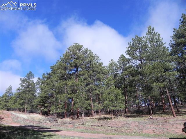 4467 Delaware Drive, Larkspur, CO, 80118 4467 Delaware Drive