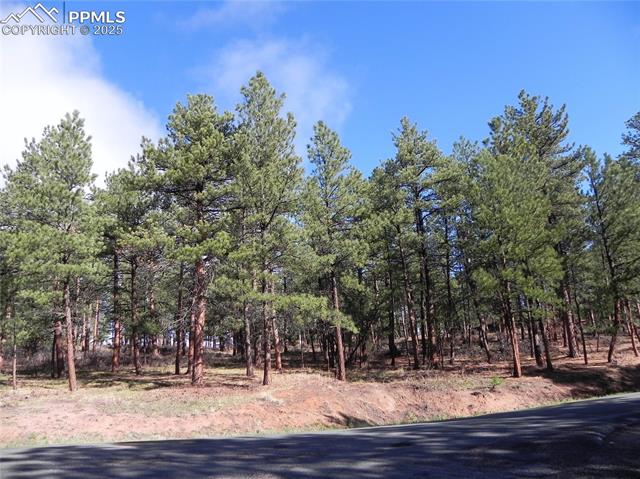 4467 Delaware Drive, Larkspur, CO, 80118 4467 Delaware Drive