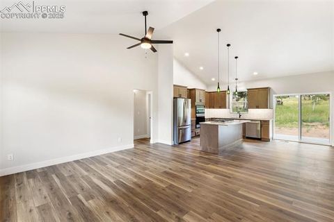 Tiny photo for 237 Columbine Road, Woodland Park, CO 80863 (MLS # 7215450)