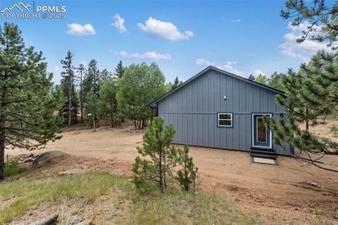 Tiny photo for 237 Columbine Road, Woodland Park, CO 80863 (MLS # 7215450)