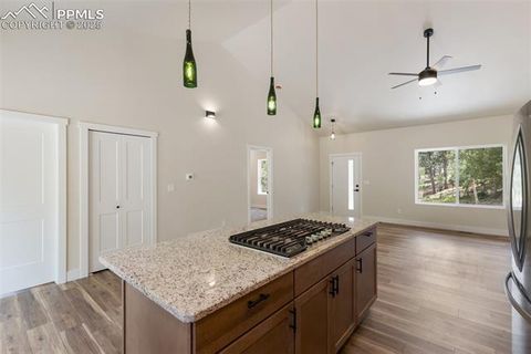 Tiny photo for 237 Columbine Road, Woodland Park, CO 80863 (MLS # 7215450)