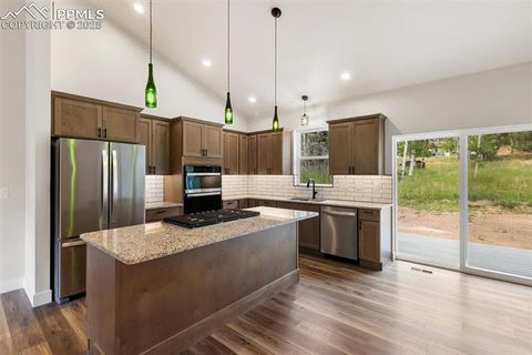 Tiny photo for 237 Columbine Road, Woodland Park, CO 80863 (MLS # 7215450)