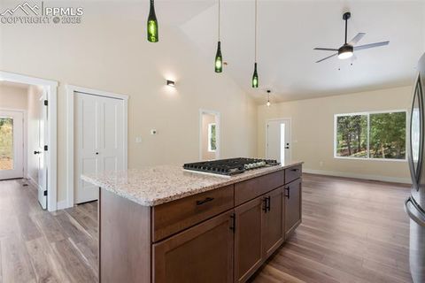 Tiny photo for 237 Columbine Road, Woodland Park, CO 80863 (MLS # 7215450)