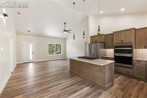 Tiny photo for 237 Columbine Road, Woodland Park, CO 80863 (MLS # 7215450)