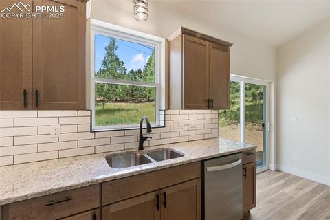 Tiny photo for 237 Columbine Road, Woodland Park, CO 80863 (MLS # 7215450)