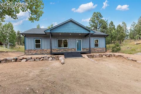 Photo of 237 Columbine Road, Woodland Park, CO 80863 (MLS # 7215450)