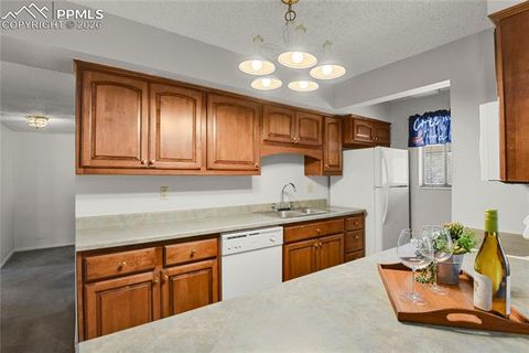 Tiny photo for 5024 Secota Lane, Colorado Springs, CO 80917 (MLS # 9786908)