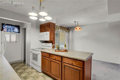 Tiny photo for 5024 Secota Lane, Colorado Springs, CO 80917 (MLS # 9786908)