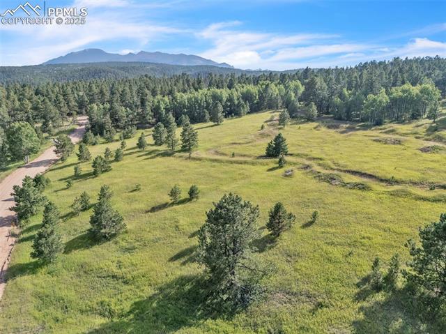 Properties For Sale Listings S Forty Road