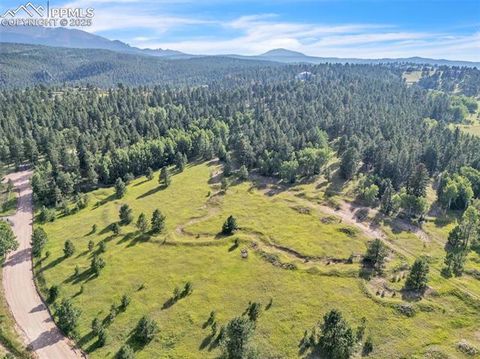 Photo of S Forty Road, Woodland Park, CO 80863 (MLS # 7131731) Photo of S Forty Road, Woodland Park, CO 80863 (MLS # 7131731)