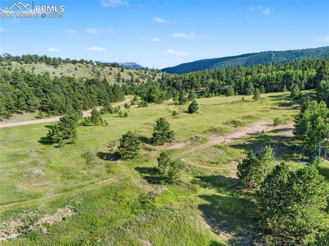 Properties For Sale Listings S Forty Road