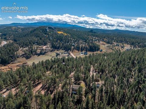 Tiny photo for 457 Stonehenge Drive, Florissant, CO 80816 (MLS # 3781533)