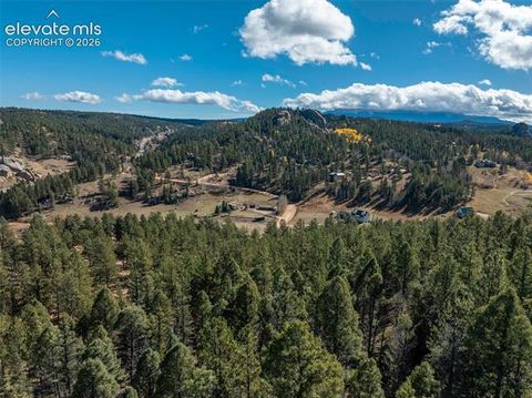 Tiny photo for 457 Stonehenge Drive, Florissant, CO 80816 (MLS # 3781533)