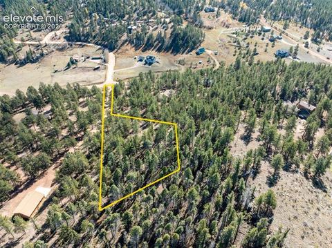 Tiny photo for 457 Stonehenge Drive, Florissant, CO 80816 (MLS # 3781533)