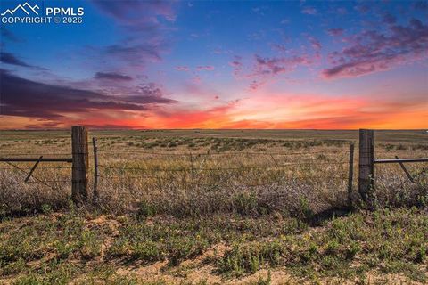 Photo of 36290 Wagner Lane, Calhan, CO 80808 (MLS # 3690509)