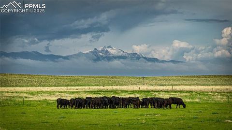 Squirrel Creek Road Colorado Springs CO 80928
