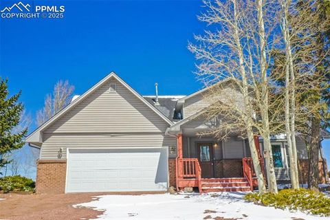 251 County Road 25 Divide CO 80814