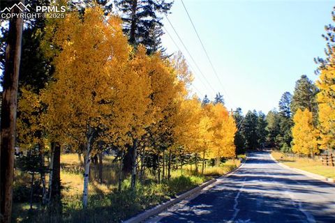 Tiny photo for 123 Saddle Drive, Woodland Park, CO 80863 (MLS # 4445265)