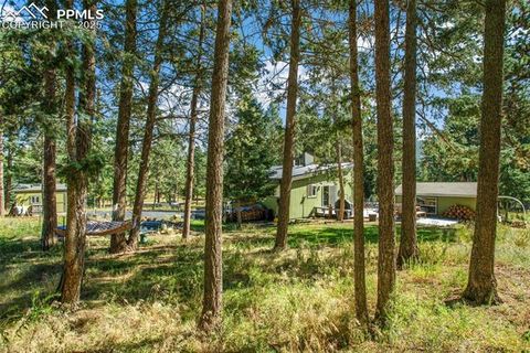 Tiny photo for 123 Saddle Drive, Woodland Park, CO 80863 (MLS # 4445265)