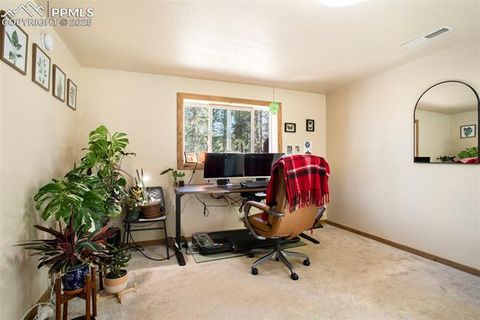 Tiny photo for 123 Saddle Drive, Woodland Park, CO 80863 (MLS # 4445265)