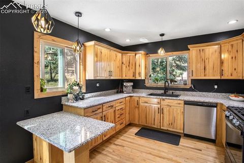 Tiny photo for 123 Saddle Drive, Woodland Park, CO 80863 (MLS # 4445265)