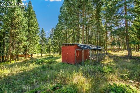 Tiny photo for 123 Saddle Drive, Woodland Park, CO 80863 (MLS # 4445265)