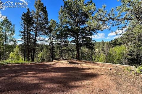 Tiny photo for 83 Pika Creek Trail, Florissant, CO 80816 (MLS # 6403137)